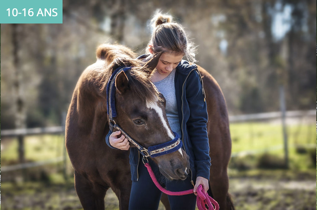 Chevillon Colonies – Séjour Stage équitation à cheval – 10-16 ans